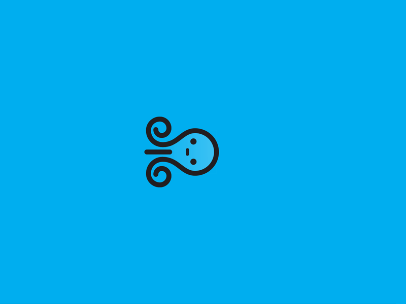 octopus-opt